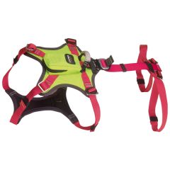 Harnais pour chien Kronos Rescue