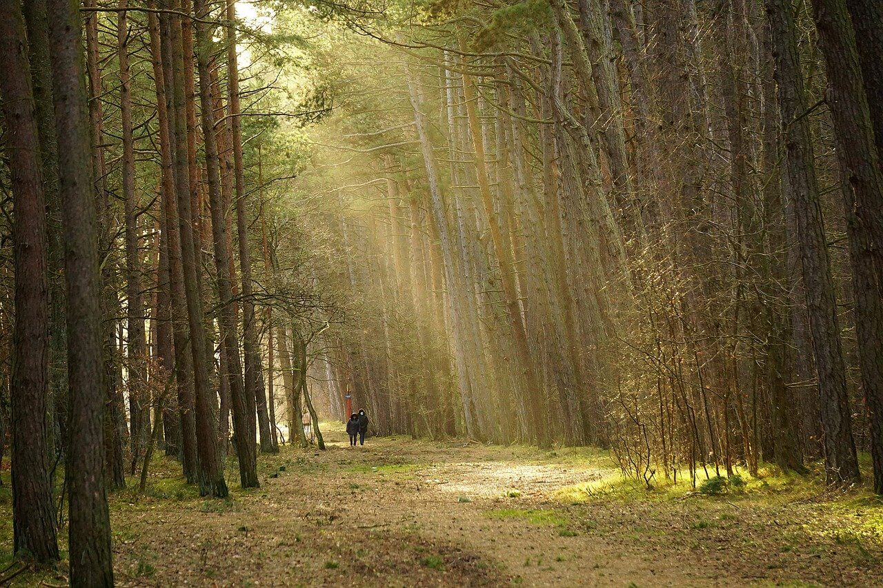 Découvrez les Plus Beaux Sentiers de Randonnée en France : Un Voyage au Cœur de la Nature